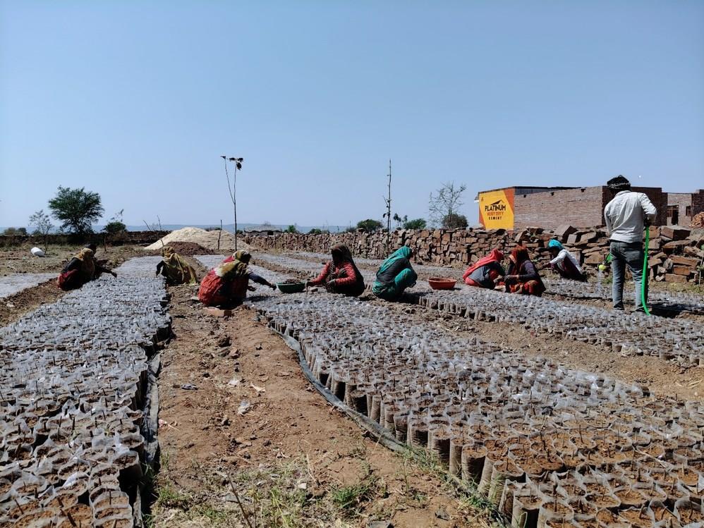 Community involvement in nursery work