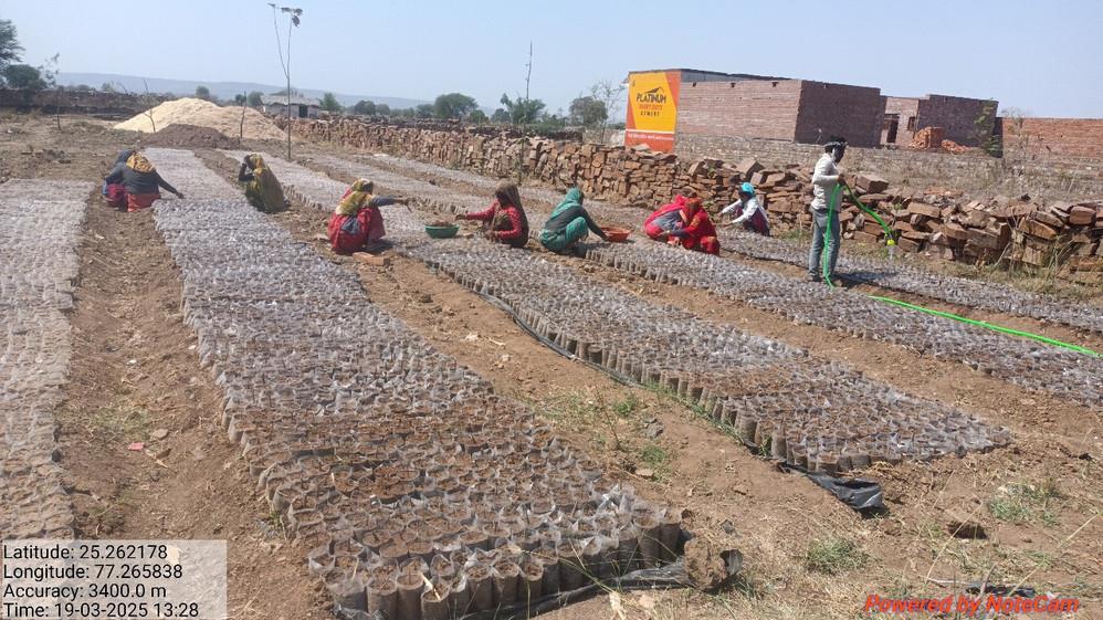 Polybag filling for saplings