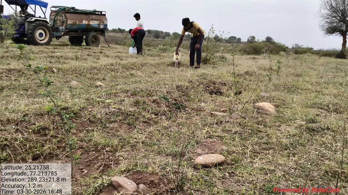 Community planting drive